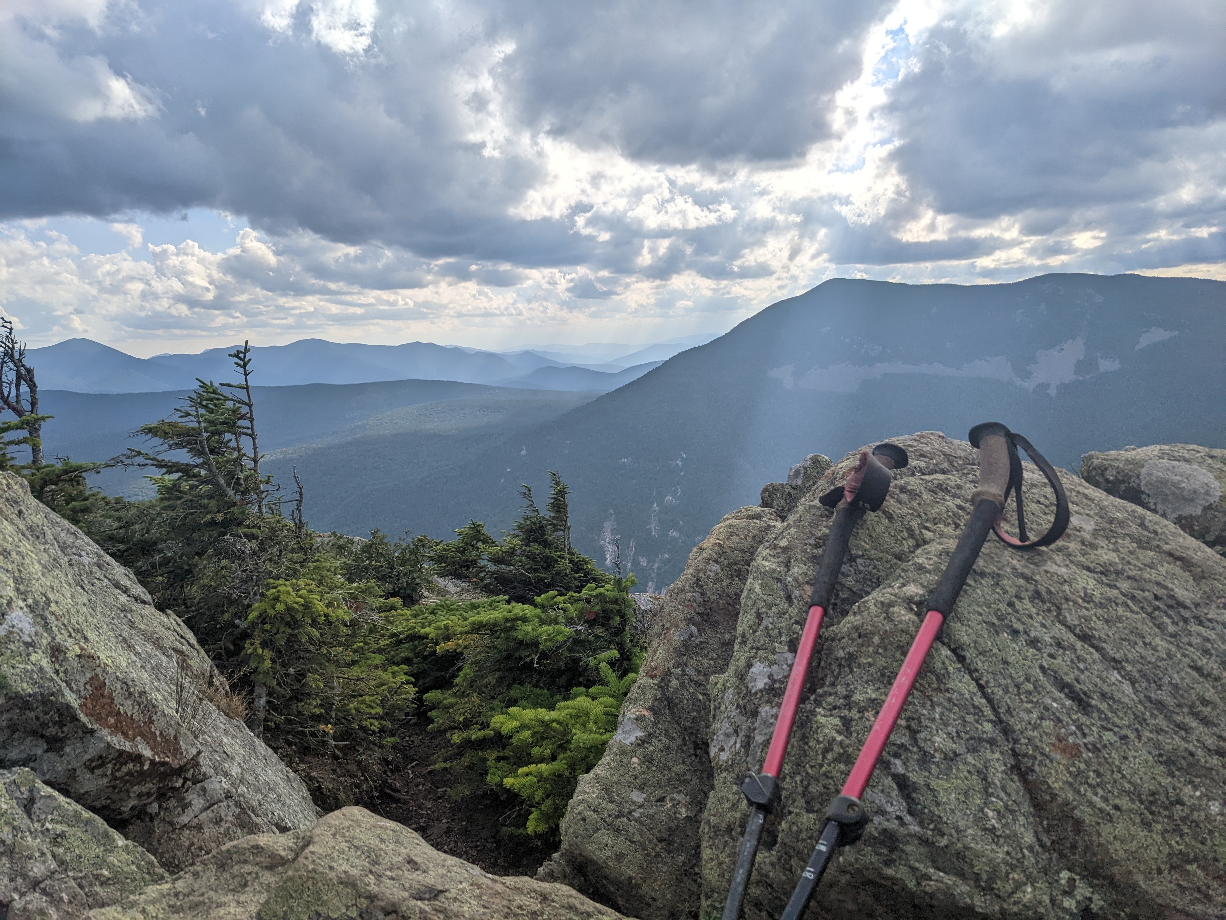 Hiking polest